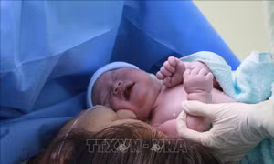 Chào đón những công dân đầu tiên của năm Canh Tý