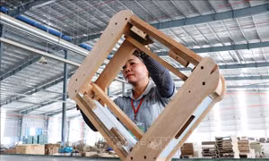 Chuẩn bị cho gỗ Việt vào các thị trường khó tính