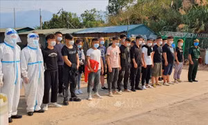 Thủ đoạn của tội phạm tổ chức, môi giới nhập cảnh trái phép