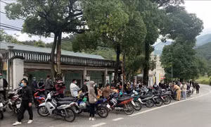 Bắt 206 thanh niên điều khiển mô tô đánh võng trên đường phố Tam Đảo