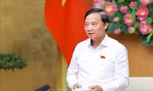 Giám sát việc thực hiện chính sách về hoạt động của đơn vị sự nghiệp công lập