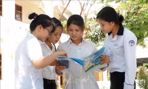Các trường đại học, cao đẳng dự kiến bắt đầu công bố điểm chuẩn từ tối 8/8