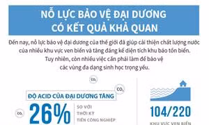 Nỗ lực bảo vệ đại dương có kết quả khả quan