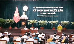 TP Hồ Chí Minh: Tổ bảo vệ an ninh, trật tự ở cơ sở tối đa có 8 thành viên