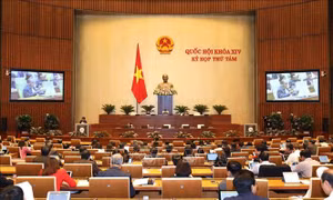 Kỳ họp thứ 8, Quốc hội khóa XIV: Thông cáo báo chí số 23