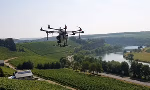 Thiết bị bay không người lái - 'trợ thủ' đắc lực trong trồng nho ở Luxembourg 