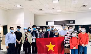 Đưa gần 350 công dân Việt Nam từ Houston (Hoa Kỳ) về nước