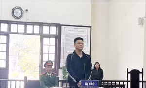Hình phạt nghiêm khắc cho đối tượng lạm dụng tín nhiệm chiếm đoạt tài sản