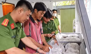 Thu giữ hơn 3 tấn thực phẩm chay không rõ nguồn gốc