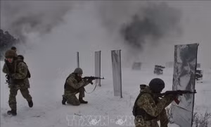 Phó Tổng thư ký LHQ: Cuộc chiến tại miền Đông Ukraine ngày càng cướp đi nhiều sinh mạng