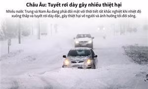  Tuyết rơi dày đặc gây nhiều thiệt hại ở Châu Âu