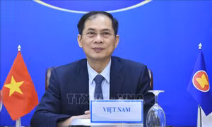 Huy động hỗ trợ nhân đạo của ASEAN cho Myanmar