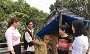 Mùa xuân no ấm trên miền đất võ