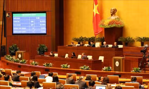 Quốc hội thông qua Luật Đặc xá (sửa đổi)