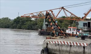 Vụ tàu ALICA bị nghiêng: Đã trục vớt được 8 container