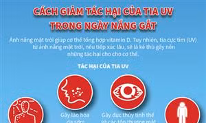 Cách giảm tác hại của tia cực tím trong ngày nắng gắt
