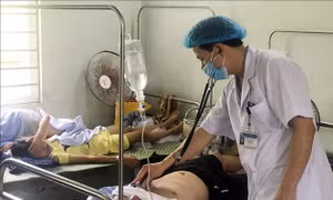 Nghệ An: Thời tiết giao mùa, gia tăng nhiều dịch bệnh