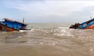 Cứu nạn thành công 6 thuyền viên bị chìm tàu, trôi dạt trên biển ​