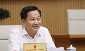 Tổng kết 20 năm đổi mới, phát triển kinh tế tập thể một cách khẩn trương, nghiêm túc