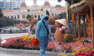 TP Hồ Chí Minh: Đón Tết giãn cách để mong an lành