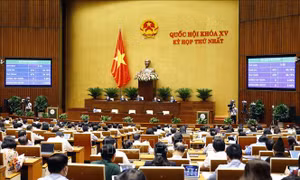 Nghị quyết về cơ cấu tổ chức của Chính phủ