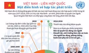 Việt Nam - Liên hợp quốc: Một điển hình về hợp tác phát triển