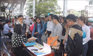Tuyển dụng trên 16.000 lao động dịp đầu Xuân Kỷ Hợi 2019