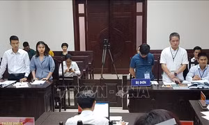 Y án sơ thẩm vụ Tập đoàn FLC kiện Tạp chí điện tử Giáo dục Việt Nam