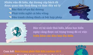 Việt Nam nỗ lực cùng cộng đồng quốc tế ứng phó với các vấn đề biển