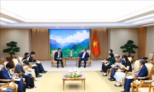 Thủ tướng Phạm Minh Chính tiếp Đại sứ Nhật Bản