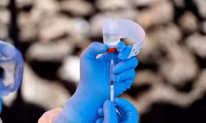 WHO hoan nghênh EU cấp phép lưu hành vaccine Ebola đầu tiên