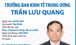 Trưởng Ban Kinh tế Trung ương Trần Lưu Quang