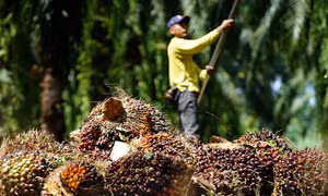 Malaysia đẩy mạnh xuất khẩu vào thị trường Việt Nam