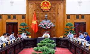 Thủ tướng Phạm Minh Chính: Xử lý vướng mắc hệ thống văn bản pháp luật là đòi hỏi của thực tiễn