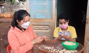 Người phụ nữ S’tiêng tặng đất dựng nhà cho nhiều bà con nghèo 