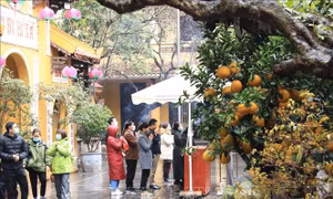 Người dân Hà Nội đi lễ đền, chùa Rằm tháng Giêng