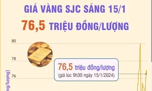 Giá vàng SJC sáng 15/1/2024 giao dịch ở mức 76,5 triệu đồng/lượng
