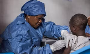 WHO khuyến nghị sử dụng 2 loại kháng thể đơn dòng để điều trị Ebola