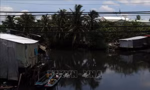 Thống nhất về sự cần thiết ban hành Nghị định đánh giá sơ bộ tác động môi trường