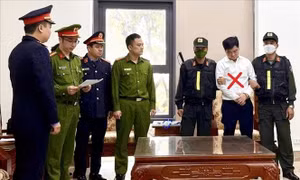 Bắt Cục trưởng Cục Hải quan Hà Nam Ninh và thuộc cấp do nhận hối lộ