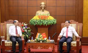 Việt Nam - Ấn Độ tăng cường hợp tác văn hóa, du lịch