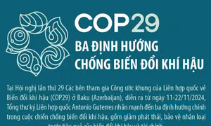 Ba định hướng chống biến đổi khí hậu