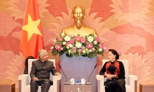Chủ tịch Quốc hội tiếp Điều phối viên thường trú LHQ và Trưởng đại diện UNICEF tại Việt Nam