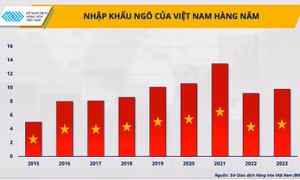Nguồn cung nguyên liệu gia tăng, tại sao ngành chăn nuôi vẫn gặp khó?