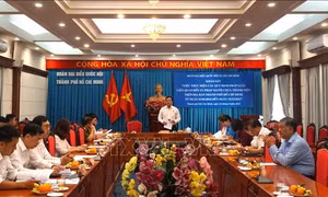Tiếp tục hoàn thiện chính sách pháp luật về tư pháp người chưa thành niên