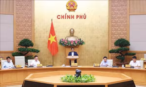 Thủ tướng chủ trì phiên họp Chính phủ thường kỳ tháng 10