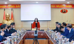 Trưởng Ban Tổ chức Trung ương gặp mặt các Đại sứ, Tổng lãnh sự trước khi nhận nhiệm vụ