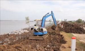 Khẩn trương khắc phục, phòng ngừa tình trạng sụt lún đất tại Cà Mau