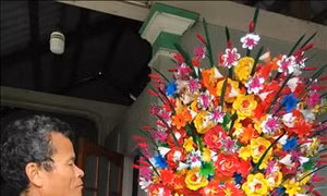 Làng hoa giấy Thanh Tiên vào vụ Tết