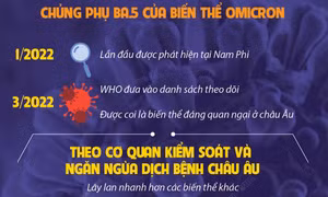 Gia tăng lây lan COVID-19 trên thế giới do biến thể BA.5